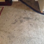 Dirty-Carpet-Lynnwood-WA