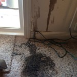 Oil-Stain-Removal-Before-Lynnwood